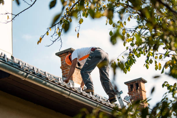 Best Roof Waterproofing Services  in Cambria, IL