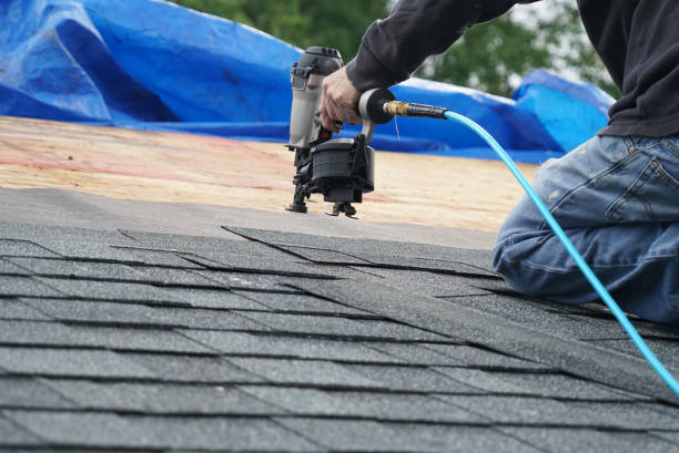 Best New Roof Installation  in Cambria, IL