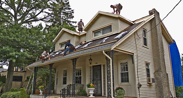 Best Residential Roofing Contractor  in Cambria, IL