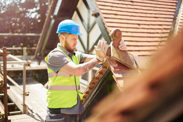 Best Storm Damage Roof Repair  in Cambria, IL