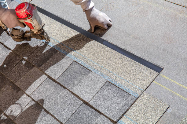 Best Roof Leak Repair  in Cambria, IL