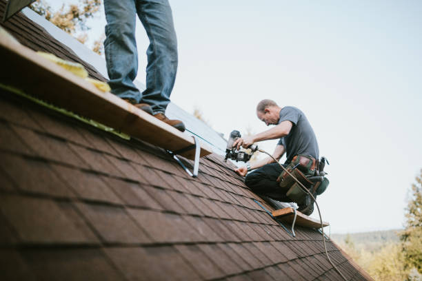 Best New Roof Installation  in Cambria, IL